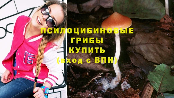 твердый Алексин