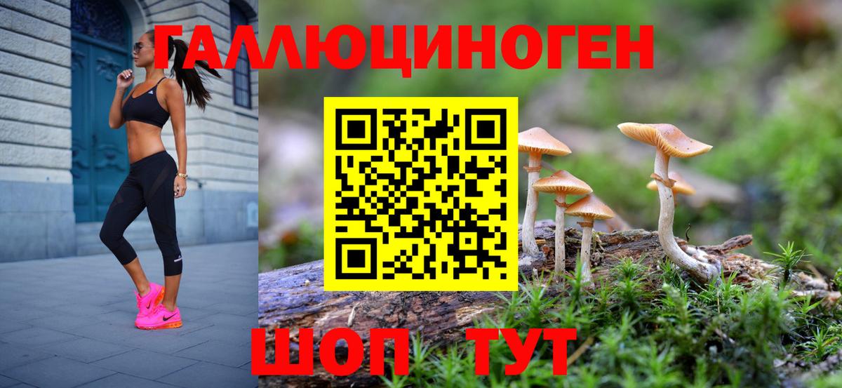 Псилоцибиновые грибы ЛСД  Вход с VPN  Галлюциногенные грибы Magic Shrooms  Камышин 